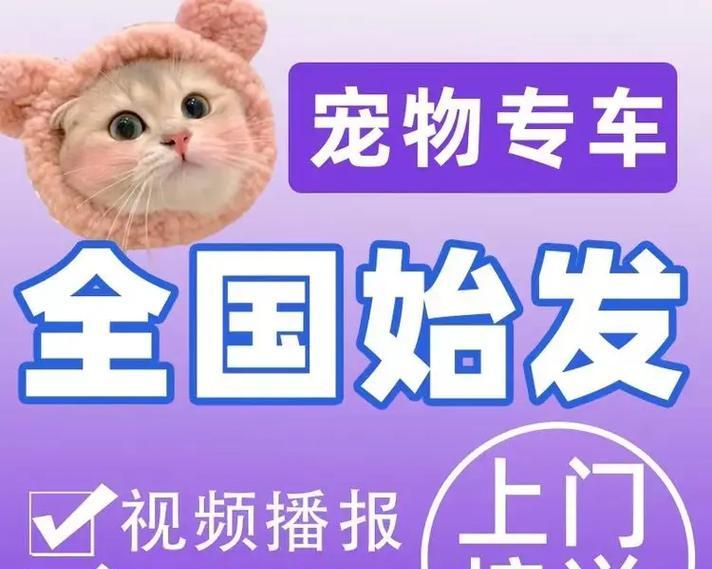 宠物托运后呕吐水应如何预防和处理？