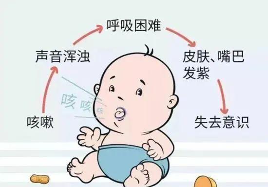 吉娃娃进食容易呛到怎么办？有哪些预防措施？