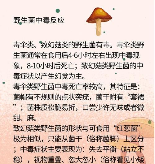 吉娃娃突然停止呼吸如何急救？有效措施有哪些？