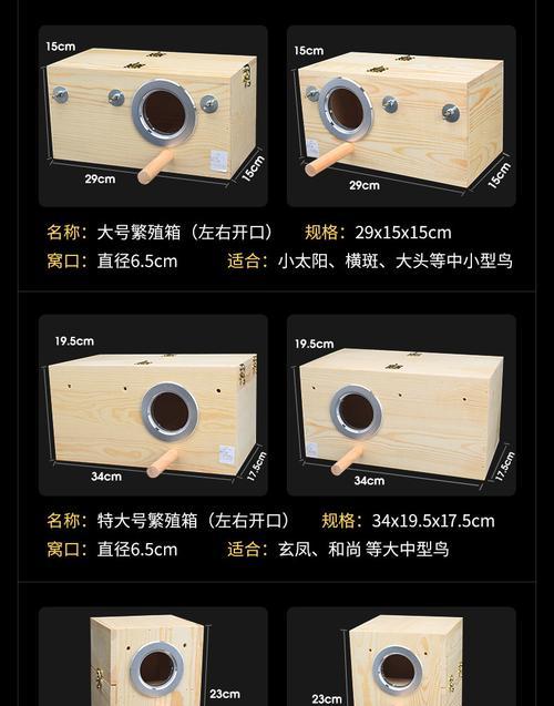 虎皮鹦鹉孵化一个月无小鸟怎么办？应对措施有哪些？