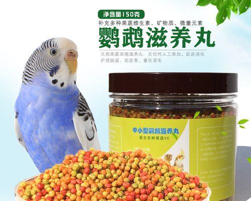 虎皮鹦鹉公鸟同性恋行为怎么办？如何妥善处理？