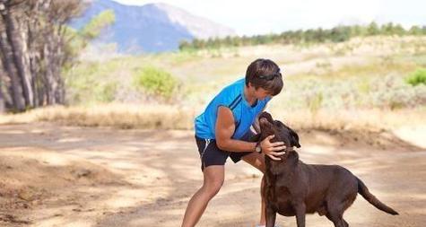 拉布拉多幼犬乱咬怎么办？有效纠正方法有哪些？