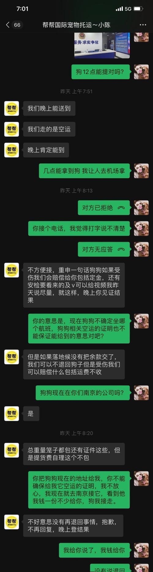 宠物托运后死亡怎么办？如何预防类似事件？