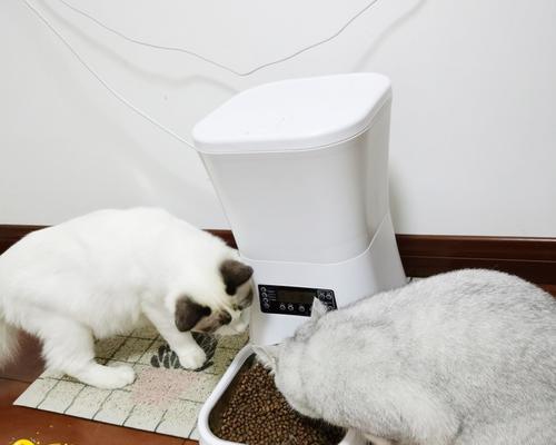 狗狗自动喂食机好吗？如何选择合适的喂食机？