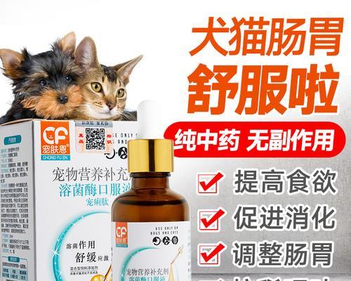狗拉稀一周吃什么药？如何正确选择治疗方案？