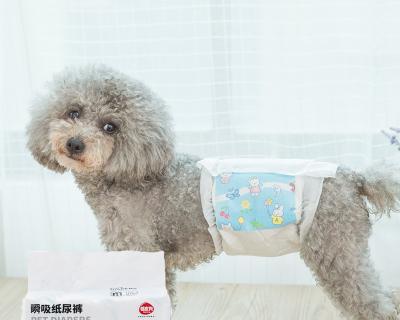 狗尿不湿使用方法图解？如何正确穿戴？