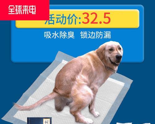 狗尿不湿使用方法图解？如何正确穿戴？