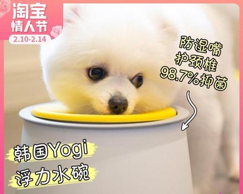 狗为什么不能多喝水？过量饮水对宠物健康的影响是什么？