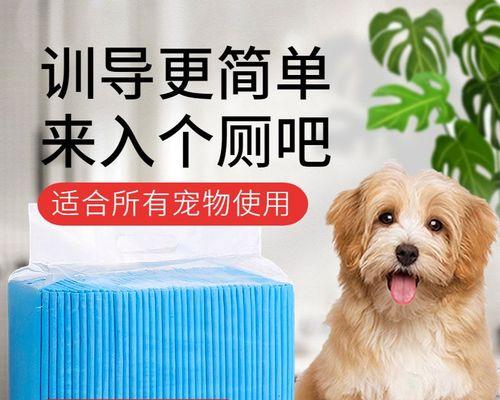 狗为什么不喜欢尿垫？如何训练宠物适应使用尿垫？