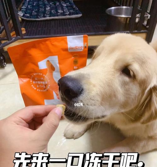 换狗粮导致小狗拉稀怎么办？正确过渡方法是什么？