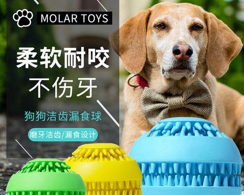 金毛狗狗一直要咬我怎么办？如何训练它停止攻击行为？