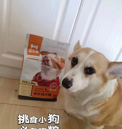 柯基适合哪些进口狗粮品牌？如何选择合适的产品？