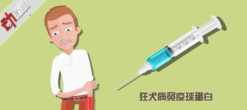狂犬病为什么狗不死？狗狗对狂犬病的免疫机制是什么？