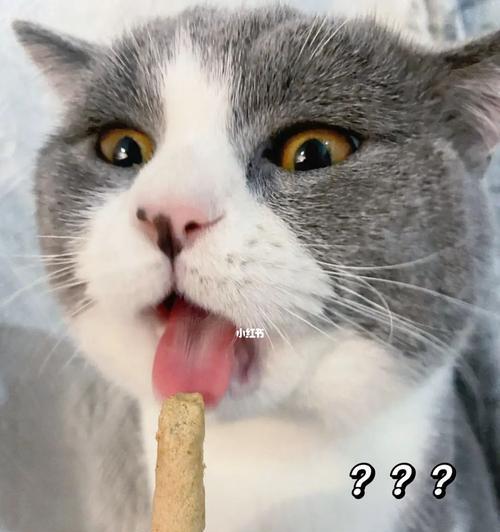 猫吃鸡肉有哪些好处？如何正确添加鸡肉到猫咪饮食中？