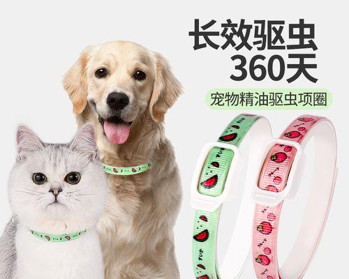 猫如果有跳蚤怎么办？如何有效处理和预防？