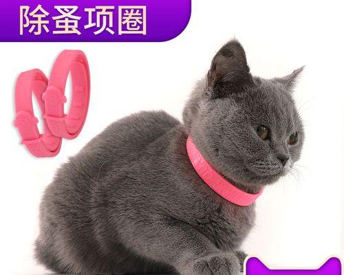 猫死了怎么正确处理？宠物遗体处理的正确步骤是什么？