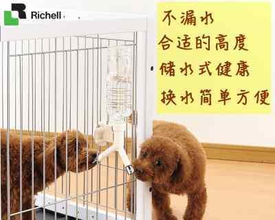 猫吐到猫了怎么回事？如何处理和预防？