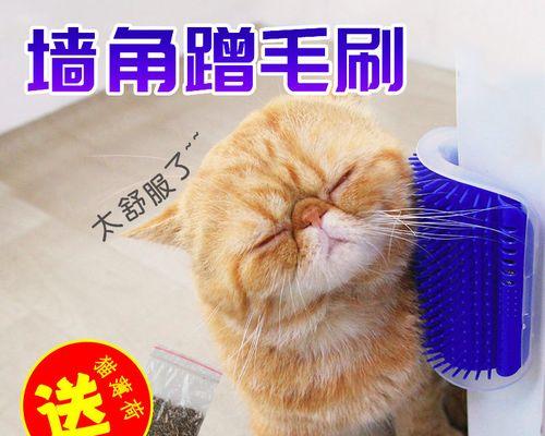 猫吐到猫了怎么回事？如何处理和预防？