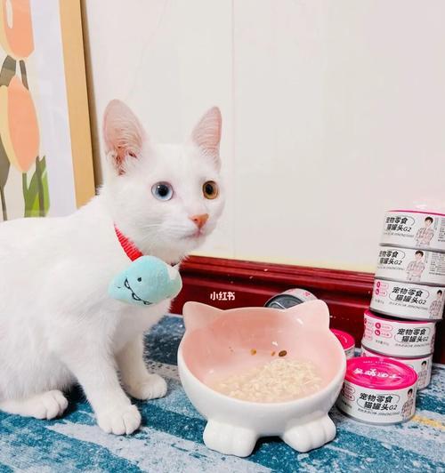 猫咪很小吃什么名字？如何为幼小猫咪选择合适的食物？