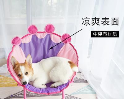 猫咪拉屎用什么预兆？如何判断猫咪健康状况？