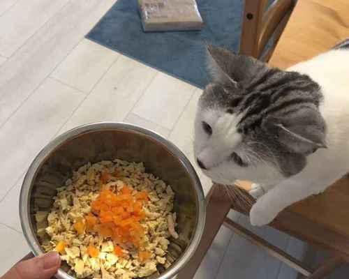 猫咪每天吃蛋黄好吗？对健康有什么影响？