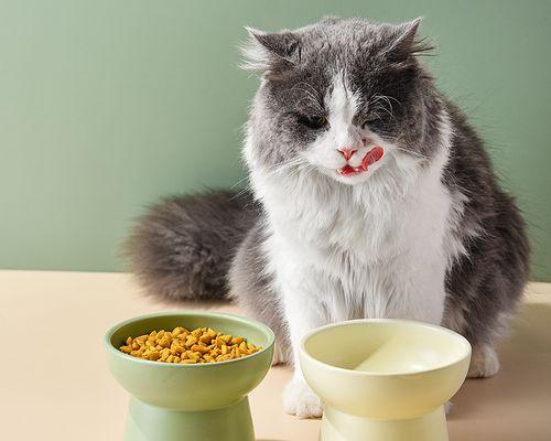新生小猫的营养需求是什么？猫咪哺乳期的饮食建议？