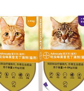 猫咪什么时候需要驱虫药？常见驱虫时间表是什么？