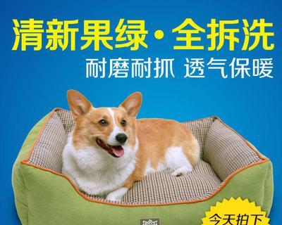 夏季猫咪需要什么样的窝？如何选择适合的夏季猫窝？