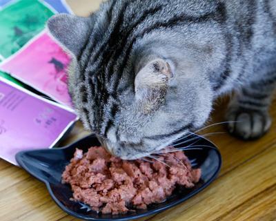 猫咪长期食用湿粮是否健康？湿粮对猫咪的影响是什么？