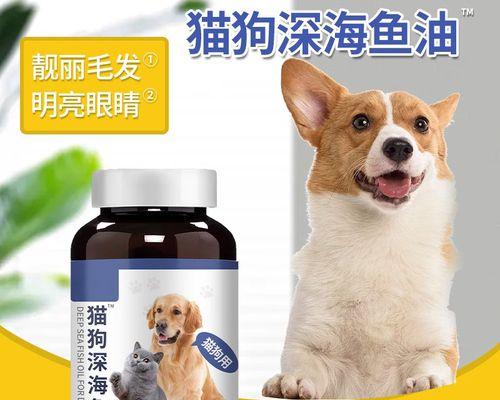 猫咪饮食需要定量吗？如何正确控制猫咪的食量？