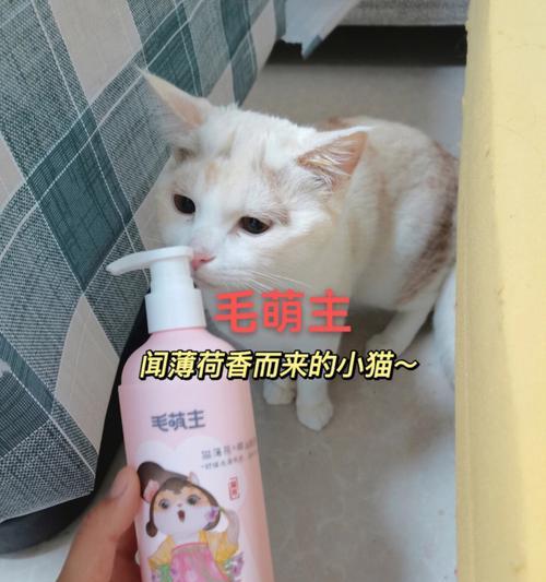 频繁更换猫咪浴液有什么影响？如何选择合适的猫咪洗护产品？