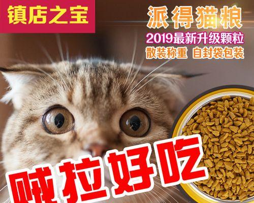 美短猫适合什么猫粮？如何选择适合美短的猫粮品牌？