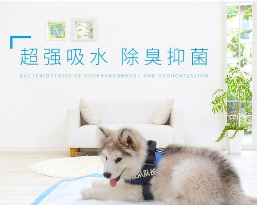 母狗照顾小狗的时间是多久？小狗断奶后还需要母狗照顾吗？