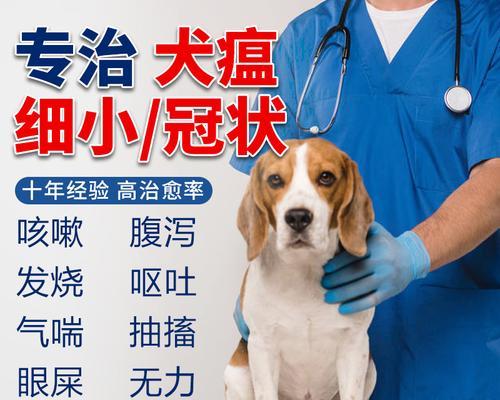 犬瘟热导致狗狗抽搐时会感到疼痛吗？