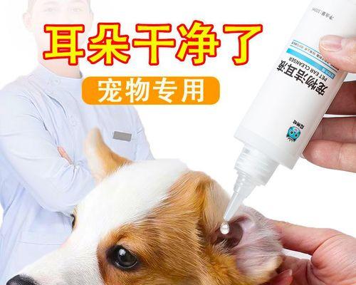 如何惩罚小猫弹耳朵？正确纠正猫咪行为的方法是什么？