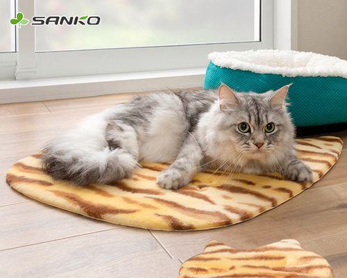 如何让猫妈妈带小猫？有哪些有效的方法和技巧？