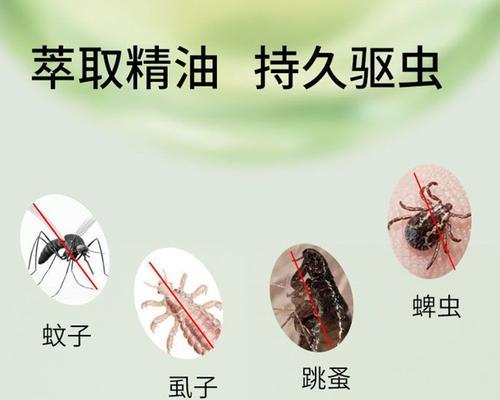 虱不到给狗狗怎么用？正确使用方法和注意事项是什么？