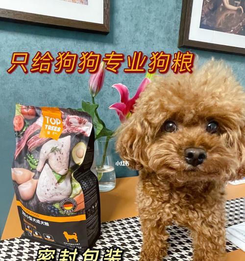 什么狗粮比较好且便宜？如何选择性价比高的宠物食品？