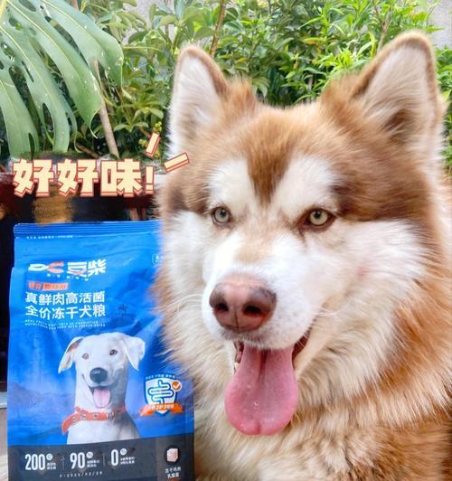 什么狗粮比较好且便宜？如何选择性价比高的宠物食品？