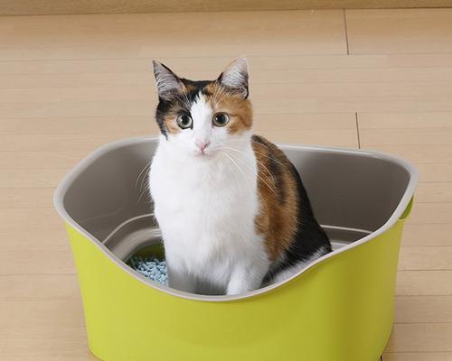选择猫砂时应注意哪些特性以避免带出问题？