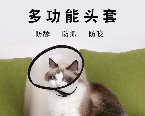 什么药物可能导致狗狗中毒？如何预防和处理？