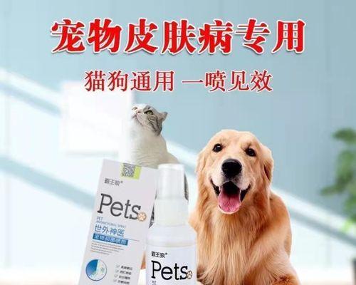 什么药物可能导致狗狗中毒？如何预防和处理？