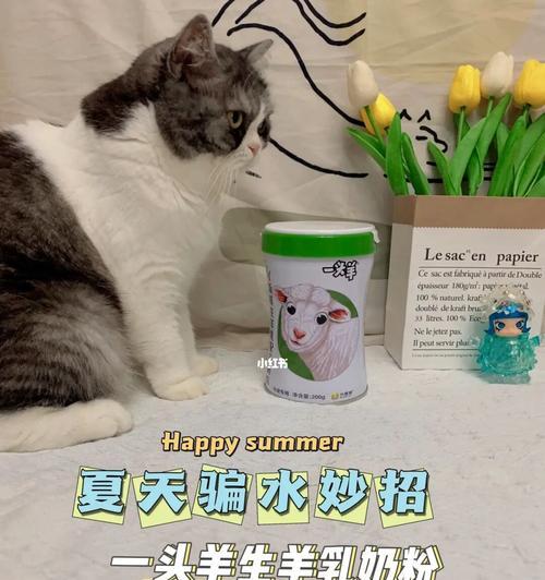 舒化奶猫咪可以喝么？对宠物健康有影响吗？