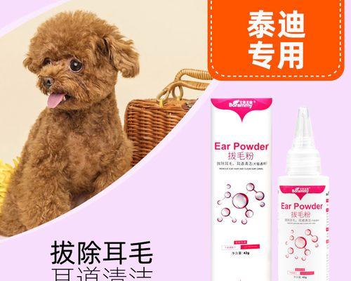 泰迪狗拔耳毛需要多少钱？服务流程和注意事项是什么？