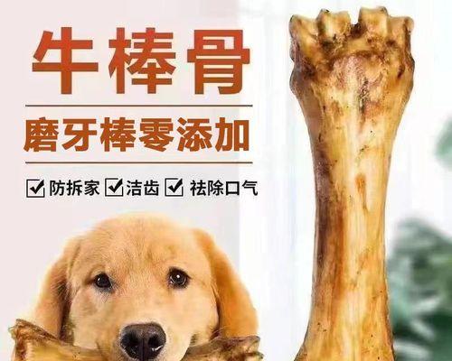泰迪狗补钙吃什么最好？如何选择合适的钙质食品？