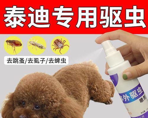 泰迪狗狗怎样驱虫药？选择合适的驱虫药物有哪些注意事项？
