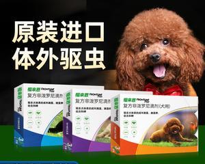泰迪狗狗怎样驱虫药？选择合适的驱虫药物有哪些注意事项？