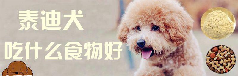 泰迪狗每天应该吃多少狗粮？如何根据体重调整食量？