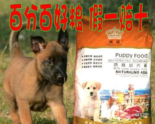 泰迪犬频繁更换狗粮有什么影响？如何正确更换狗粮？