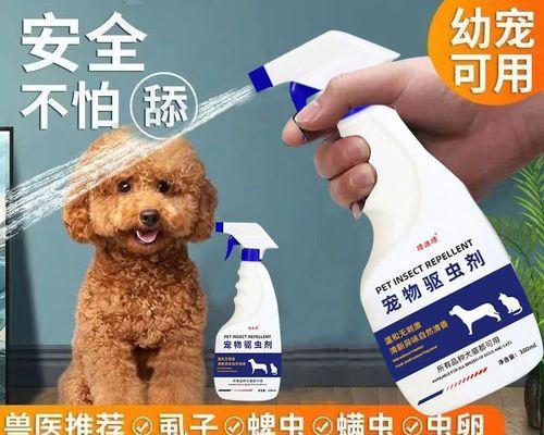 大狗为什么总喜欢舔小猫？这种行为背后的含义是什么？